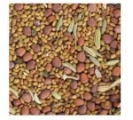 Seeds germinate - Alfa / Radish / Fennel